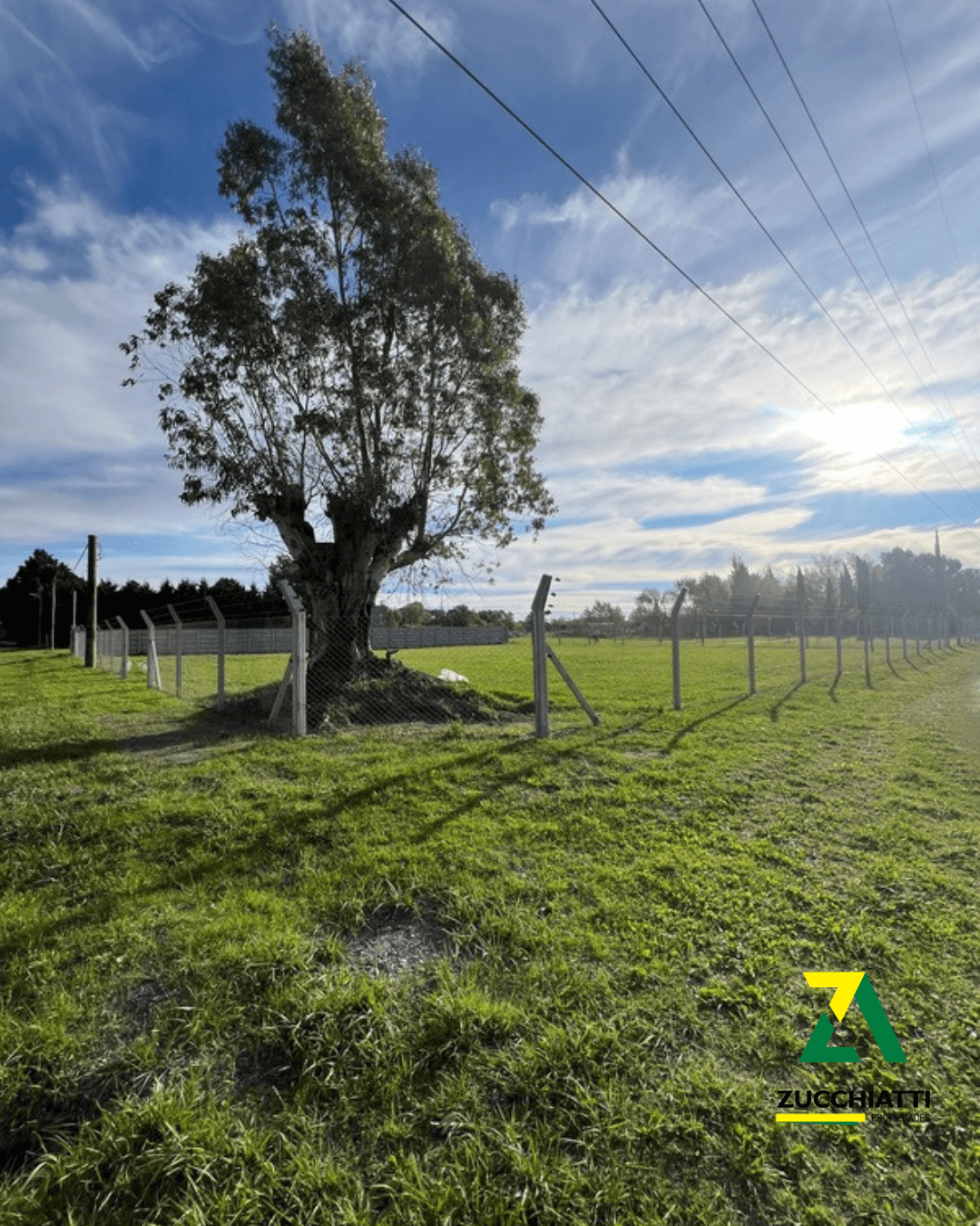 Venta lote grandes dimensiones zona frontera sur - 2