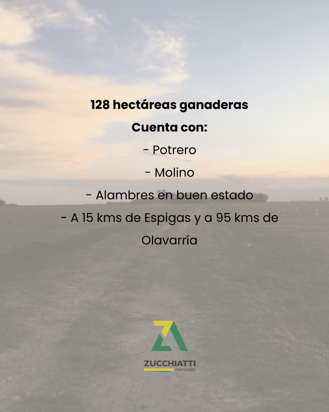 Venta 128 hectáreas en Espigas - 3