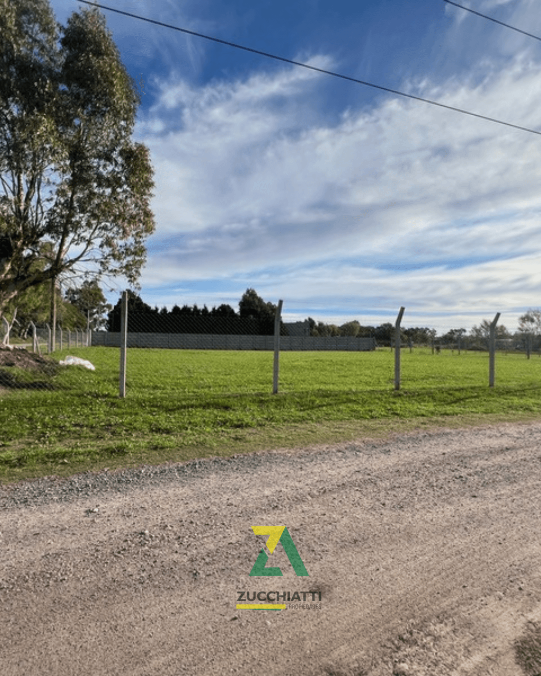 Venta lote grandes dimensiones zona frontera sur - 3