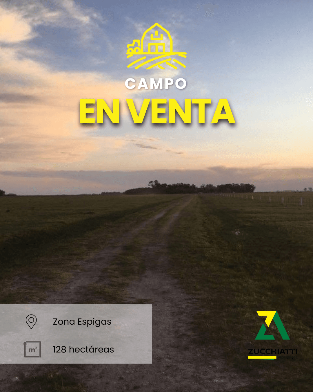 Venta 128 hectáreas en Espigas
